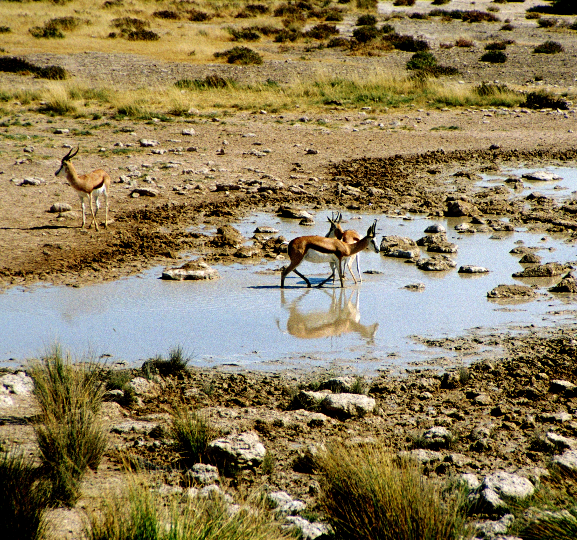 Namibia image