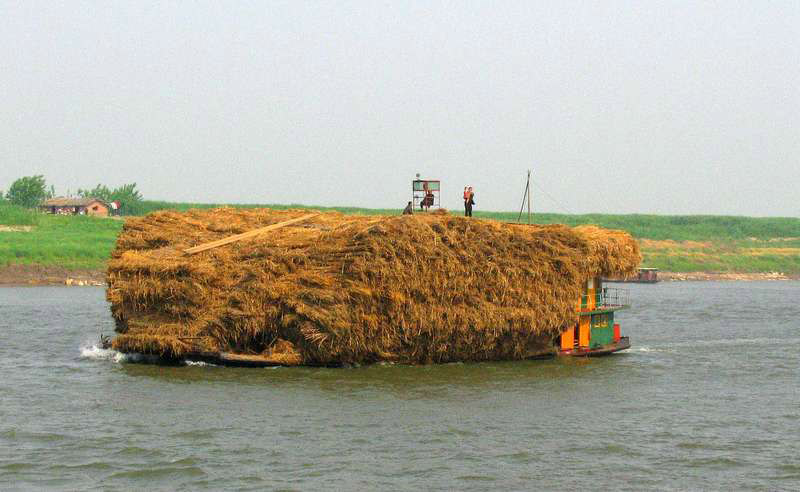 A load of thatching on the Yangtze--note man and child on top!