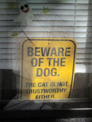 Beware of the Dog